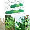 Garden Netting Anti Bird Veg Fruit Plant Pond Net Protection Water. Variation[Birds,1 X Pcs,2 X 10 M]