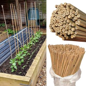 100 x 3FT Bamboo Canes Sticks 90 CM - Image 7