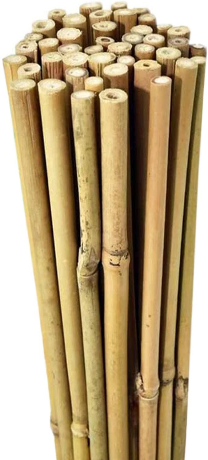 10 PIECE 8FT BAMBOO CANES STICKS