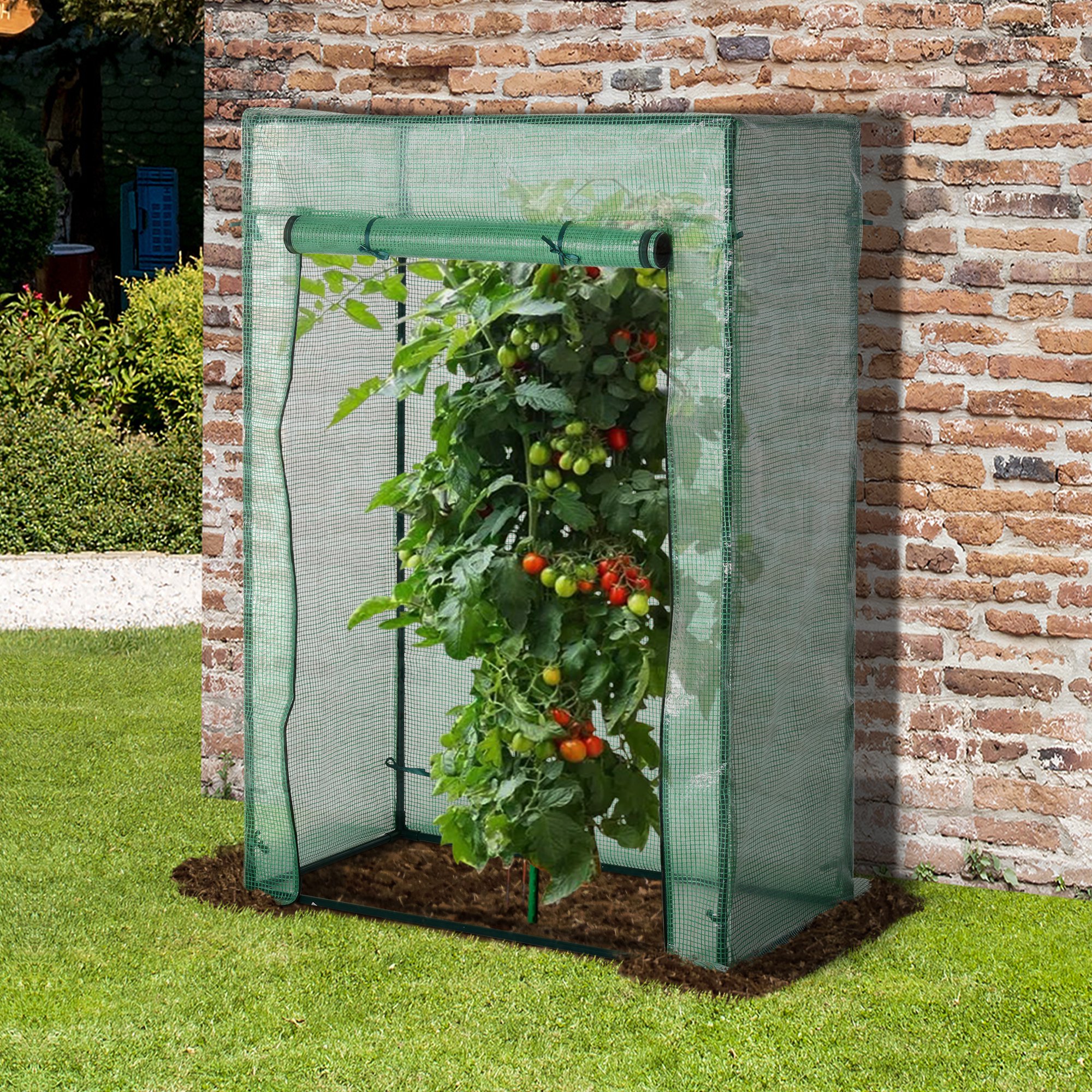 100 x 50 x 150cm Greenhouse Steel Frame PE Cover with Roll-up Door Outdoor for Backyard, Balcony, Garden