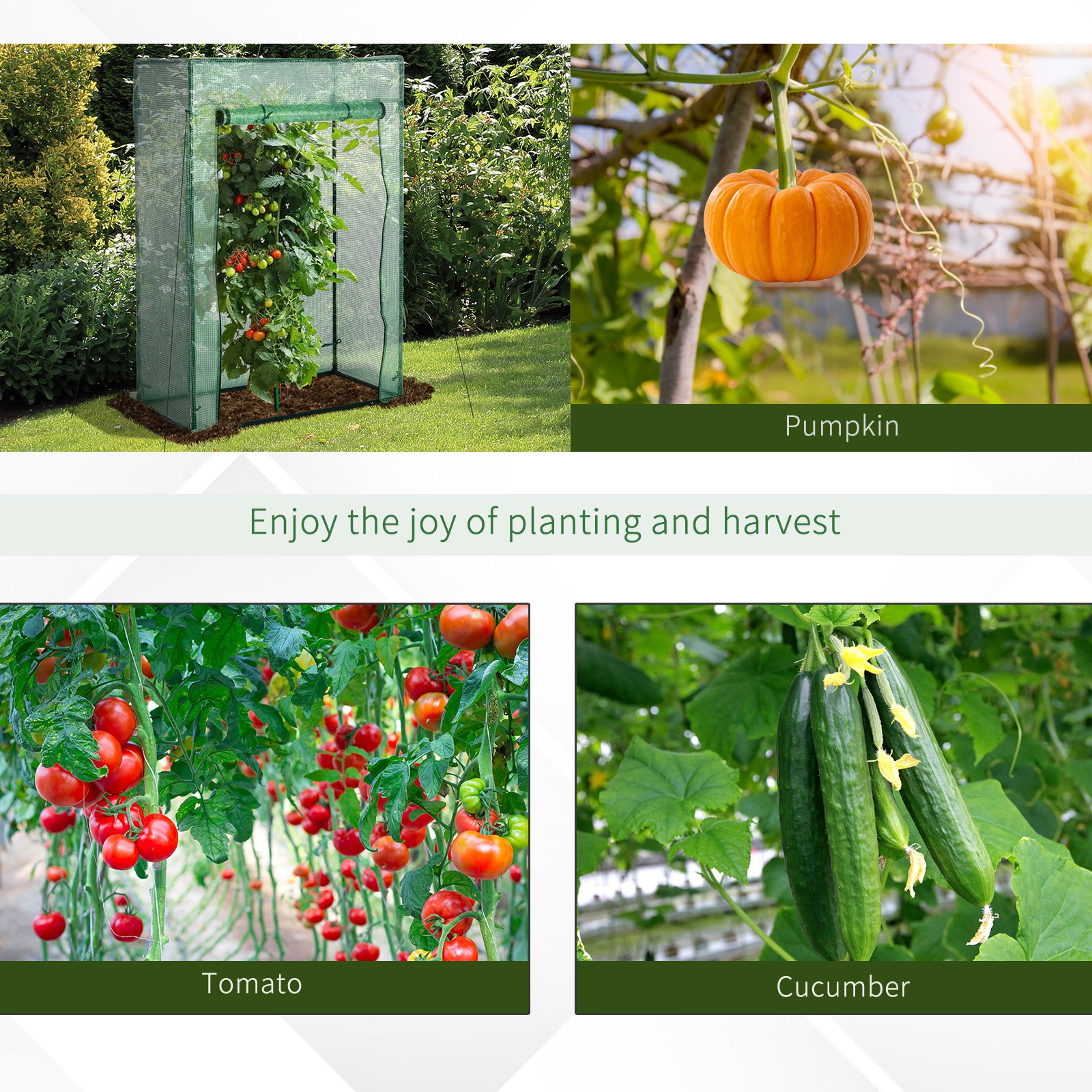 100 x 50 x 150cm Greenhouse Steel Frame PE Cover with Roll-up Door Outdoor for Backyard, Balcony, Garden - Image 5