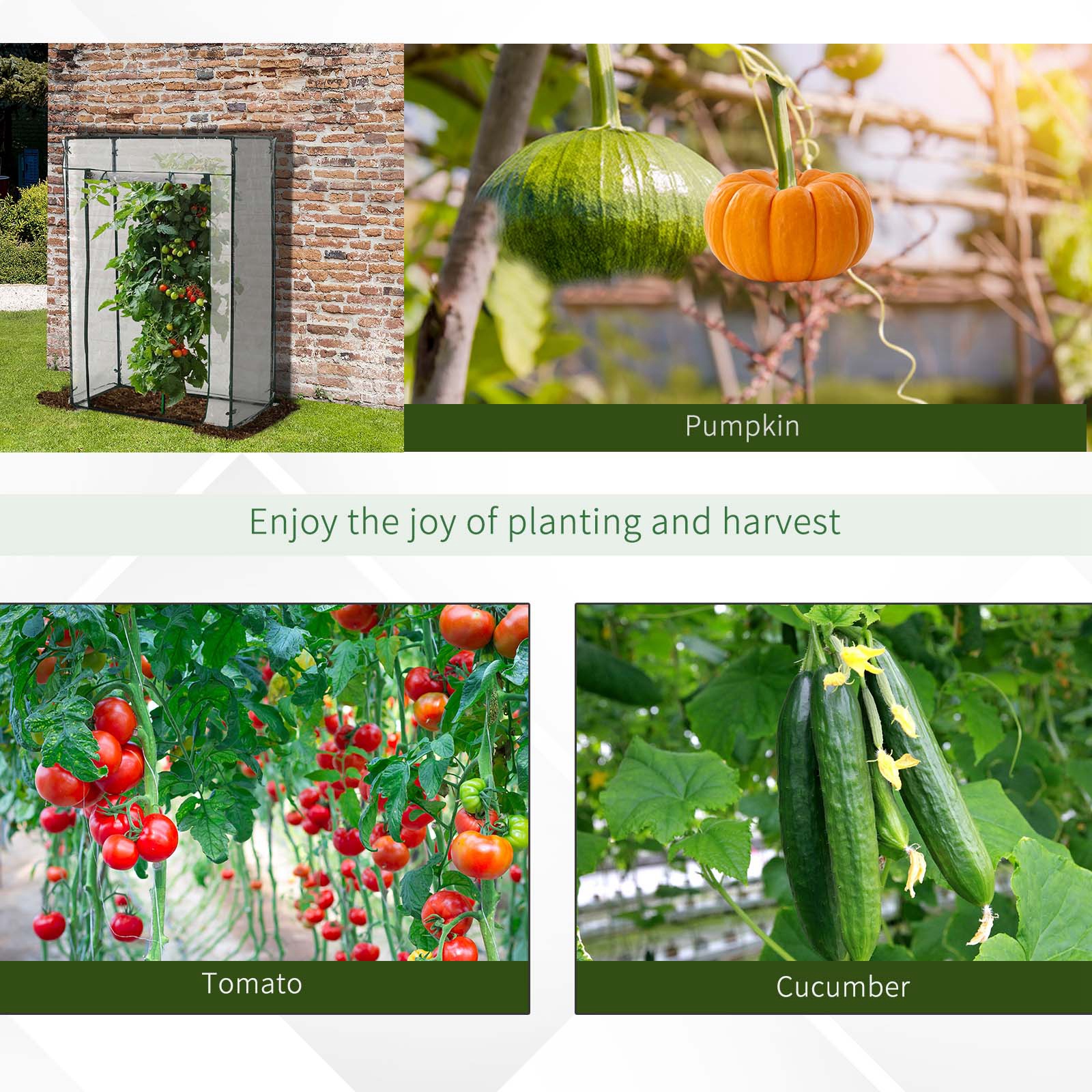 Outdoor PVC and Steel Greenhouse Plant Cover with Zipper 100 x 50 x 150CM - Image 5