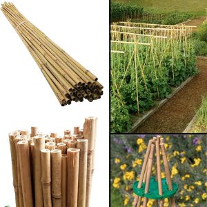 80 x 4FT Bamboo Canes Sticks 120cm - Image 3