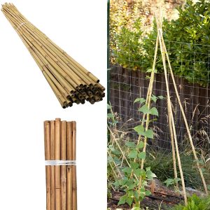 80 x 4FT Bamboo Canes Sticks 120cm - Image 7