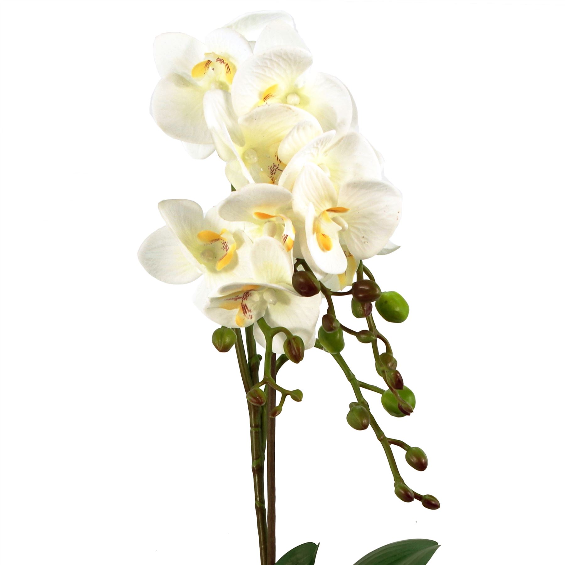 54cm Artificial Orchid Plant - White with Gold Pot - Image 4