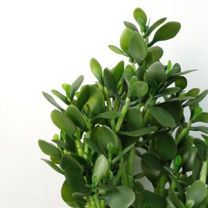 Alternative view of Artificial Deluxe 75cm Green Jade Plant