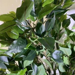 100cm Premium Artificial Ficus Twist Tree Gold Curve Planter - Image 6