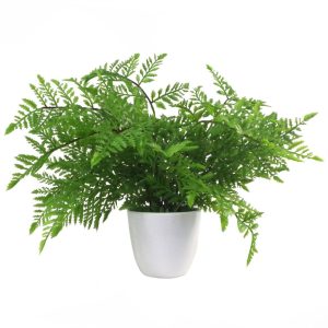 Alternative view of Pack of 3 x 30cm Artificial Ferns - Southern Wood - Lady and Royal - Potted