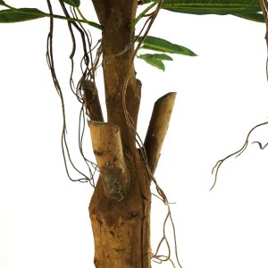 100cm Realistic Artificial Tree Longifolia Ficus Natural Trunk - Image 3