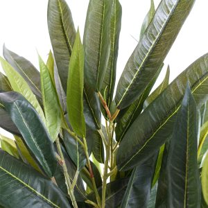 100cm Realistic Artificial Tree Longifolia Ficus Natural Trunk - Image 4