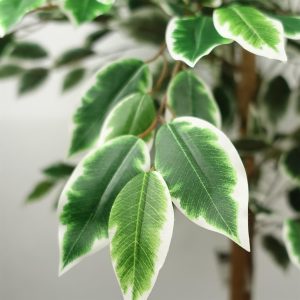 Alternative view of 150cm Artificial Ficus Tree 1008 Silk Leaves