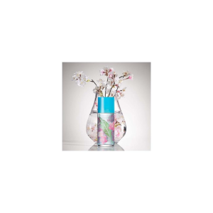 Elizabeth Arden Green Tea Sakura Blossom Eau De Toilette Spray 100ml - Image 3