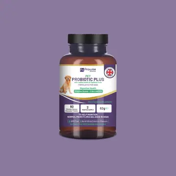 Pet Vitamins